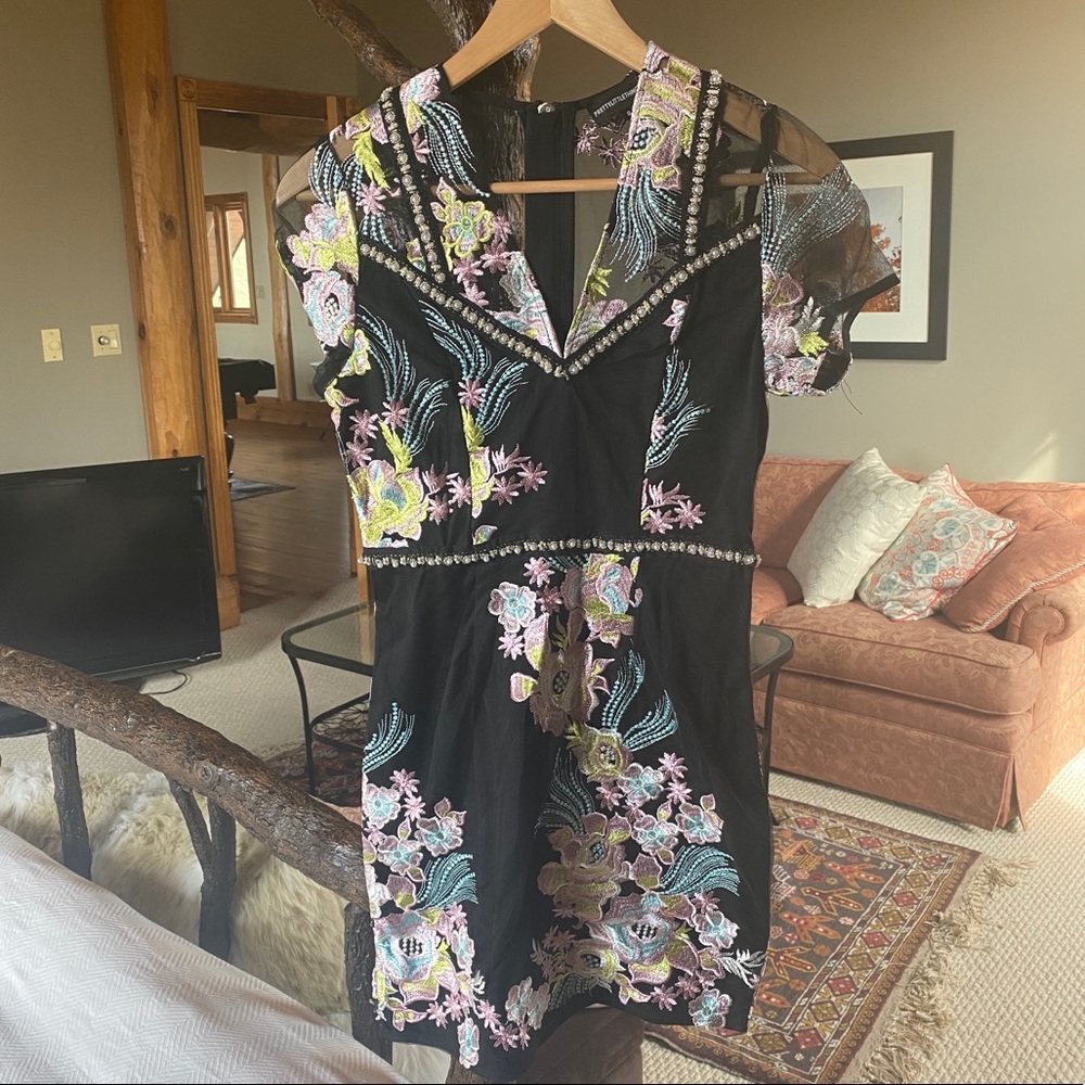 Gorgeous Embroidered Mini Dress